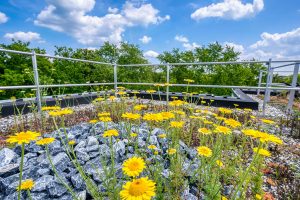 aufbaugemeinschaft-espelkamp-aufbauen-update.gaudenzer-weg
